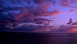 IMG_3147